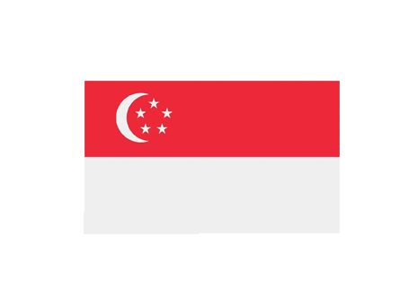 Singapore Dedicated Line