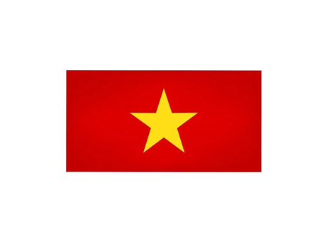 Vietnam Dedicated Line