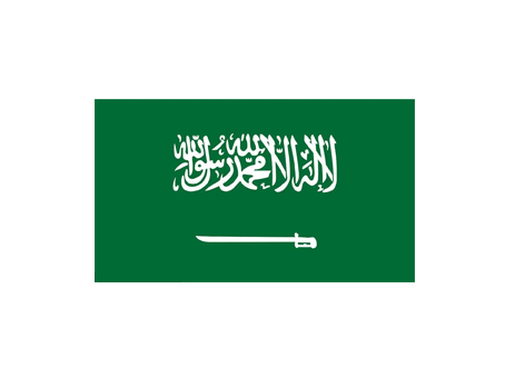 Saudi Arabia Dedicated Line