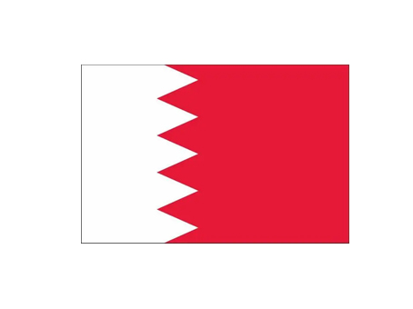 Bahrain Dedicated Line