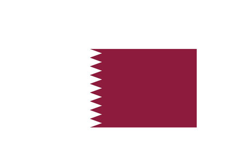 Qatar Dedicated Line